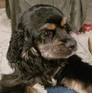 Meet your Posher, Crystal